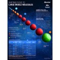 HDx large middle molecules Cling poster (English) HDx large middle molecules Cling poster (English)