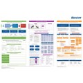 Prescription Workmat French Prescription Workmat French